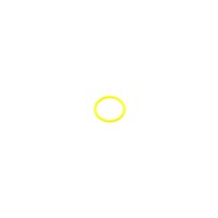 Прокладка термостата EGR BMW 3 (E36/E46)/5 (E60/E61) (19x2.5mm) (кільце)