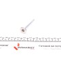 Клапан (випуск) Citroen Berlingo/ Peugeot Partner 1.6 16V (24.5x6x104.4) (вальцювання)