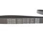 Ремінь генератора Fiat Ducato 2.5D/TD/TDI 94-02/Toyota Rav4 2.0 97-00/Audi A4/A5 12-15