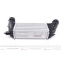 Радіатор інтеркулера Citroen Jumpy/Fiat Scudo/Peugeot Expert 2.0 HDI 07-
