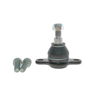Опора кульова (передня/знизу) VW T5/T6 03- (к-кт)