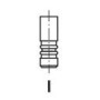 Клапан (впуск) Citroen Jumper/Peugeot Boxer/Iveco Daily 3.0HDI 04-