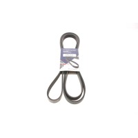 Ремінь генератора MB W211 55 AMG 02-08 (6PK2442)