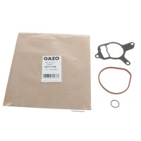 Прокладка насоса вакуумного VW Golf VI/Jetta III/IV 2.5 06- (к-кт)