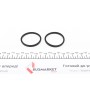 Ремкомплект супорта (заднього) MB E-class (W210) 95-03 (d=42mm) (+2 поршня) (Ate)