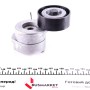 Натяжник ременя генератора Citroen Nemo/Fiat Fiorino 1.3JTD
