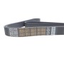 Ремінь генератора MB Vario/Atego 2/LK/LN 2 96- OM 904 (8PK1795)