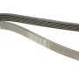 Ремінь генератора Ford Granada/Fiat Bravo 1.9D/2.0 07-