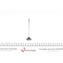 Клапан (випуск) Citroen Jumpy/Fiat Scudo/Peugeot Expert 2.0HDi 16V 99- (25x6x106.2) (хромування)