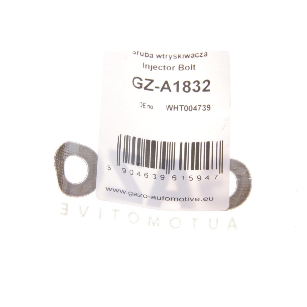 Болт кріплення форсунки VW Caddy/T5 2.0TDI 10- (к-кт 2шт.)