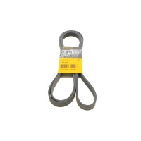 Ремінь генератора MB E-class (W211) 5.5 02-08 (M113)/Land Rover Range Rover 5.0SCV8 13-