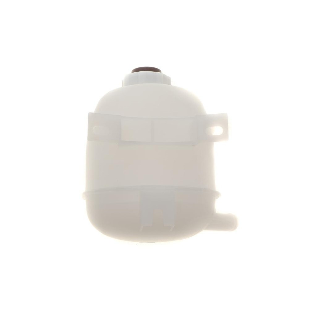 Бачок розширювальний Renault Megane 96-/Scenic 99-