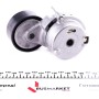 Натяжник ременя генератора Citroen Nemo/Fiat Fiorino 1.3JTD