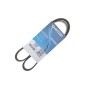 Ремінь генератора Fiat Ducato 2.5D/TD/TDI 94-02/Toyota Rav4 2.0 97-00/Audi A4/A5 12-15