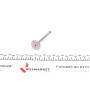 Клапан (випуск) Audi A3/A4/A6/VW Golf/Passat 2.0TDI 03-12 (25.5x6x88.2) (азотування)