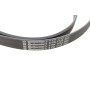 Комплект ременя генератора + помпа Audi A1/A3/Seat Ibiza/Skoda Octavia 1.4/1.6 02-