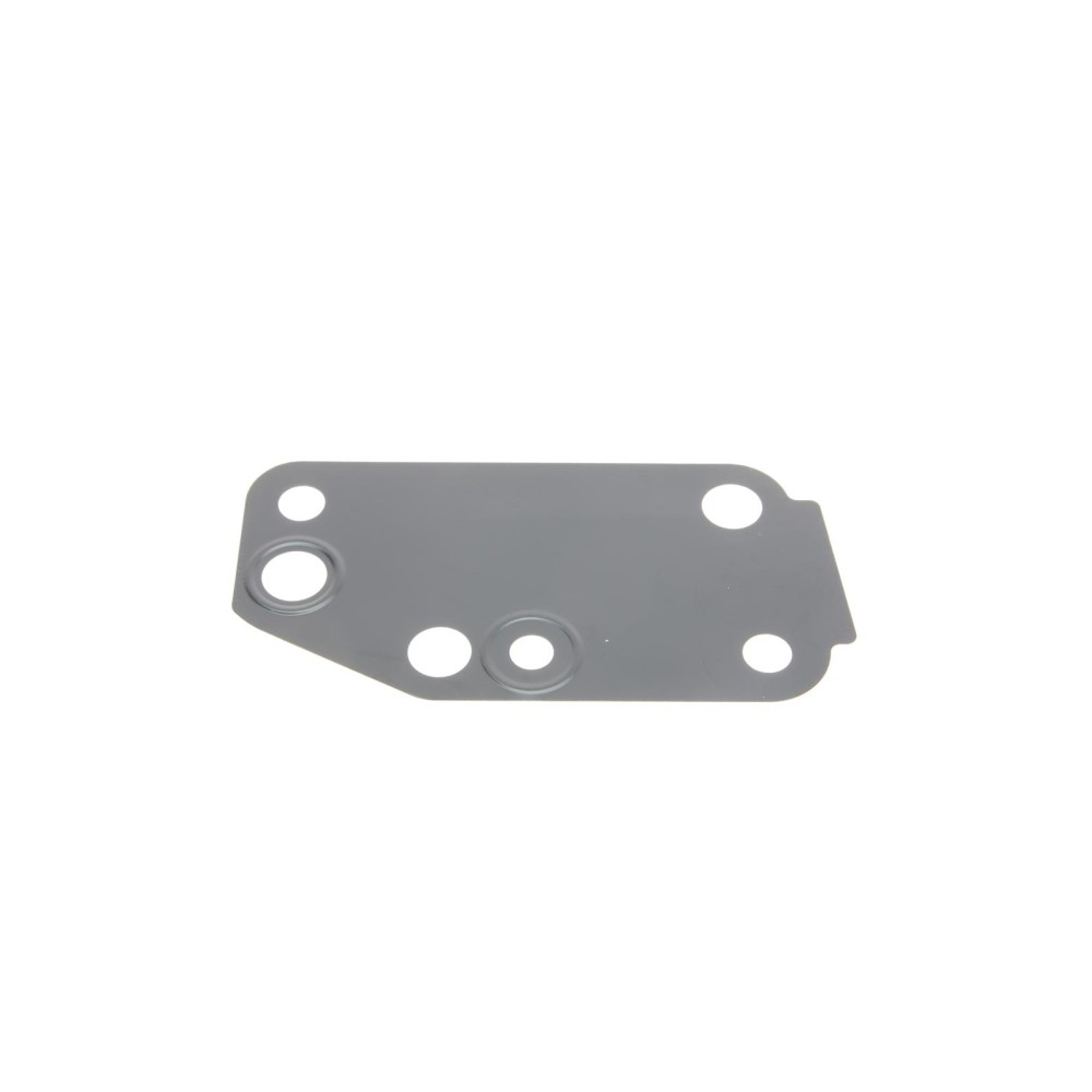 Прокладка помпи води Ford Transit 2.4 TDCI 00-06