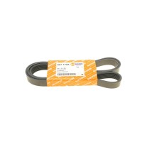 Ремінь генератора Renault Master/Opel Movano 2.5 dCi 03- (+AC) (7PK1795)