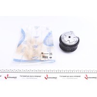 Подушка двигуна (R) MB C-class (W202)/E-class (W210) 95-00