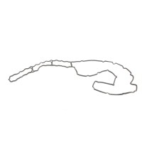 Прокладка кришки клапанів BMW 3 (E90)/5 (E60/F10) 07-13 N52/N53
