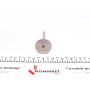Клапан (впуск) Ford Focus/Transit 1.8TDCI 99-13 (36.5x8x107mm) (азотовані)