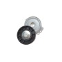 Натяжник ременя генератора Fiat Scudo/Peugeot Boxer/Partner 2.0-2.2HDI 99-