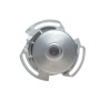 Комплект ГРМ + помпа VW Golf/Jetta/Polo 86-97 (19x128z)