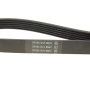 Ремінь генератора VW T5 3.2 V6 03-09
