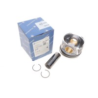 Поршень Audi A4/A5/Q2/Q3/Q5/Skoda Karoq/Kodiaq/Superb III/VW Passat B8 2.0 TDI 14- (81.01mm/STD)