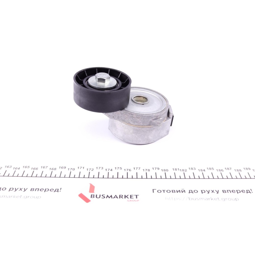 Натяжник ременя генератора Ford Mondeo IV/Peugeot 407 2.0TDCi/2.2 HDi 06-