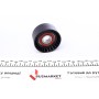 Ролик генератора Renault Trafic/Master 1.9-2.5DI/dTi (паразитний) (60х31)