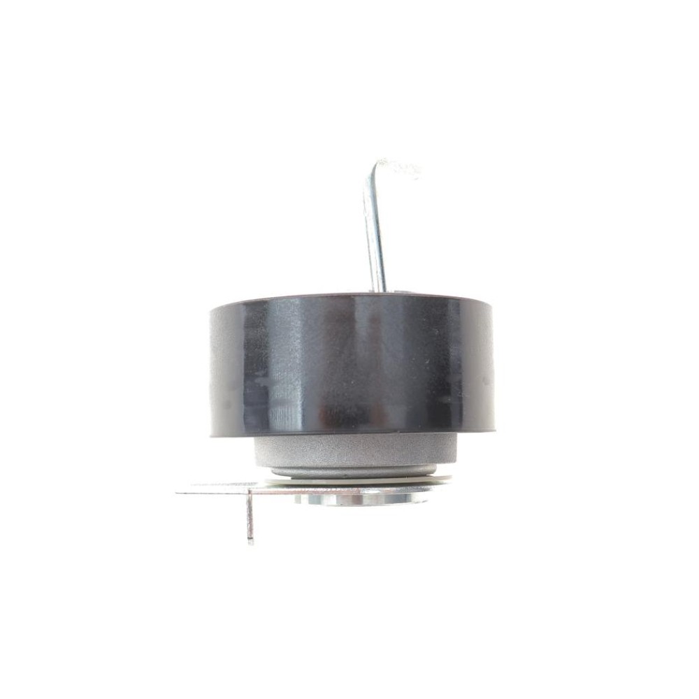Комплект ГРМ Citroen C5 III/C6/Peugeot 407/607 2.7 HDi 04- (85x20)
