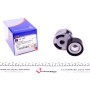 Натяжник ременя генератора Ford Fiesta/Fusion 1.4 TDCi 01-12