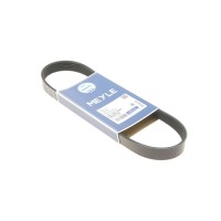 Ремінь генератора Citroen Jumper/Fiat Ducato/Peugeot Boxer 2.0 94- (6PK698)