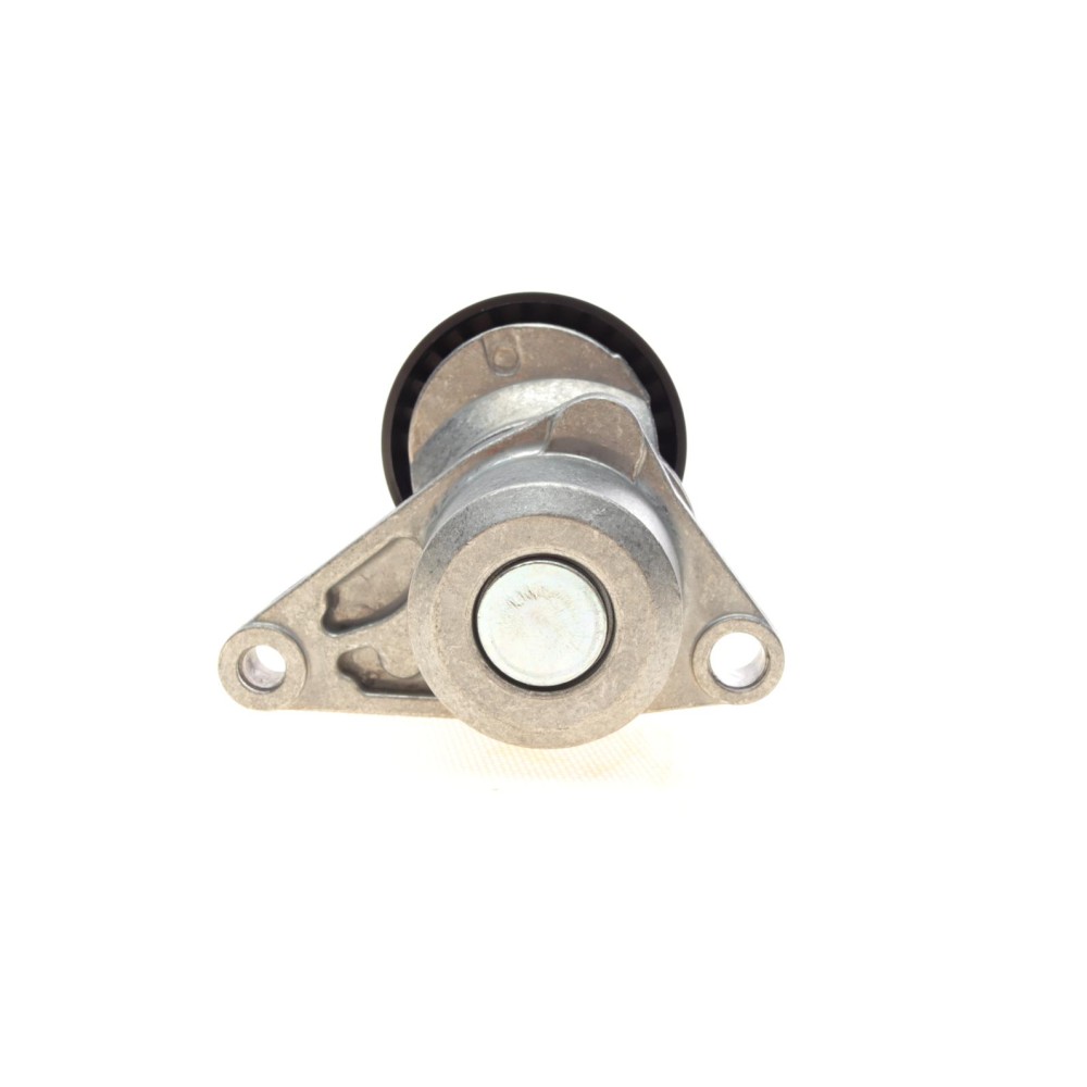 Натяжник ременя генератора Citroen C2/C3/C4/Peugeot 207/307 1.1-1.6 00-