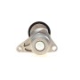 Натяжник ременя генератора Citroen C2/C3/C4/Peugeot 207/307 1.1-1.6 00-