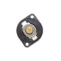 Термостат Fiat Scudo/Peugeot Expert 2.0 16V 00- (89°C)