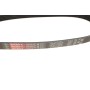 Ремінь генератора Ford C-Max/ Focus II-III/Volvo C30/S40 II/V50 1.8-2.0 03-