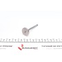 Клапан (випуск) VW Caddy II/Golf IV 1.9TDI 96-06 (31.50x74x96,8) (азотований)