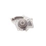 Комплект ГРМ + помпа Fiat Scudo 2.0D/Citroen Jumpy/Peugeot Expert 2.0HDI 07- (25.4x116z)