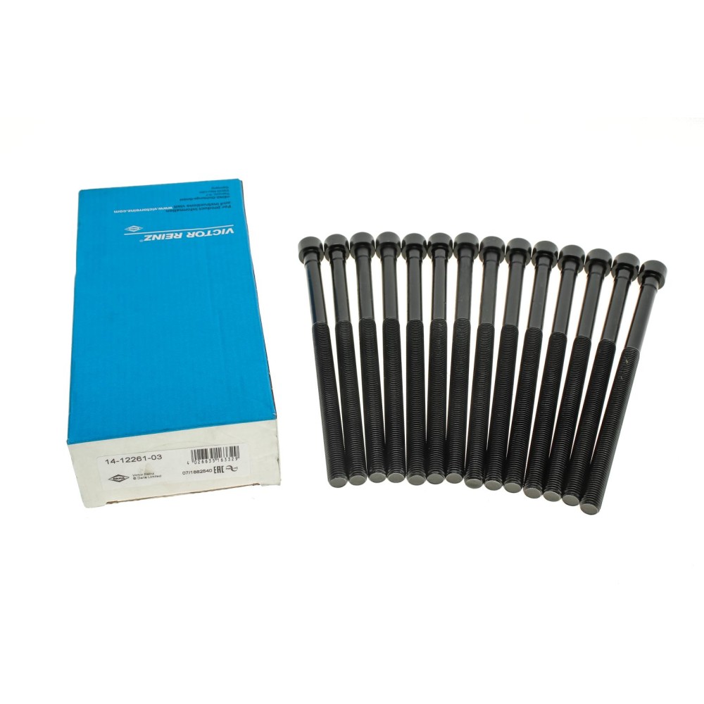 Комплект болтів гбц (14шт) BMW 3 (F30/F80)/5 (G30/F90)/X3 (G01/F97) 15- B46/B48