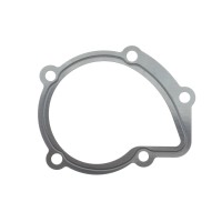 Прокладка помпи води Citroen/Fiat/Hyundai/Lada/Suzuki 1.6-2.0D 82-
