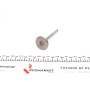 Клапан (впуск) VW Caddy/T3 1.6D/1.7D 81-92 (34x8x104.9) (азотований)