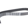 Ремінь генератора Renault Megane/Scenic 1.4 09-/Honda Accord/CR-V 2.2 i-CTDi 04- (7PK1784)