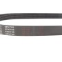 Ремінь генератора Citroen C4/ Peugeot 307 1.6HDi 04-/ Toyota Echo/ Yaris 1.0-1.3 99- (6PK780)