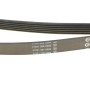 Ремінь генератора Audi A6 S6/RS6 quattro 99-05/A8 3.7/4.2/S8 quattro 94-02 (6PK2680)