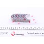 Вкладиші корінні Renault Clio 1.1/1.2i/Kangoo 1.4i (STD) (к-кт) = 6038050000