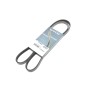 Ремінь генератора Toyota Land Cruiser 200 4.5 D-4D 07-/Man TGL/TGL 4.7/6.9 05-