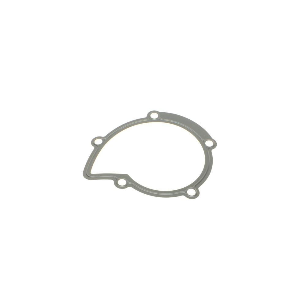 Прокладка помпи води Citroen Jumper/Jumpy/Peugeot Boxer/Expert 2.0/2.2 HDi 02-