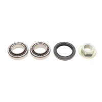 Підшипник маточини (задньої) Ford Escort 90-99/Mazda 121 96-03 (29x50.3x17.5) (к-кт)